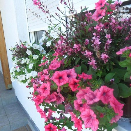 Guesthouse Sara Grabovac  Εξωτερικό φωτογραφία