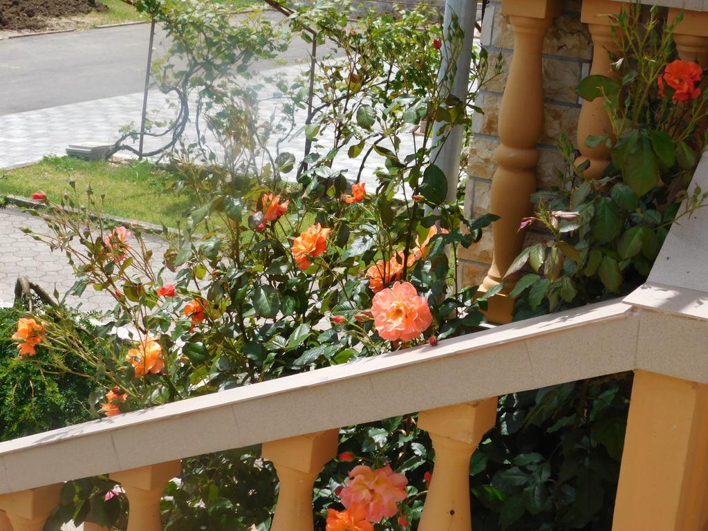 Guesthouse Sara Grabovac  Εξωτερικό φωτογραφία
